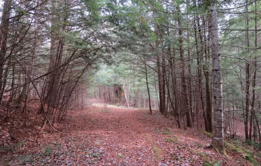 This is a wide trail which also allows horses.