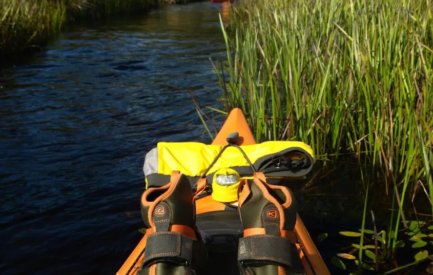 Kayakers in a grassy river