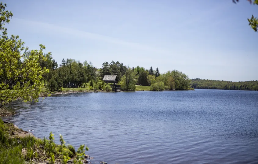 A large pond with some houses on the shore