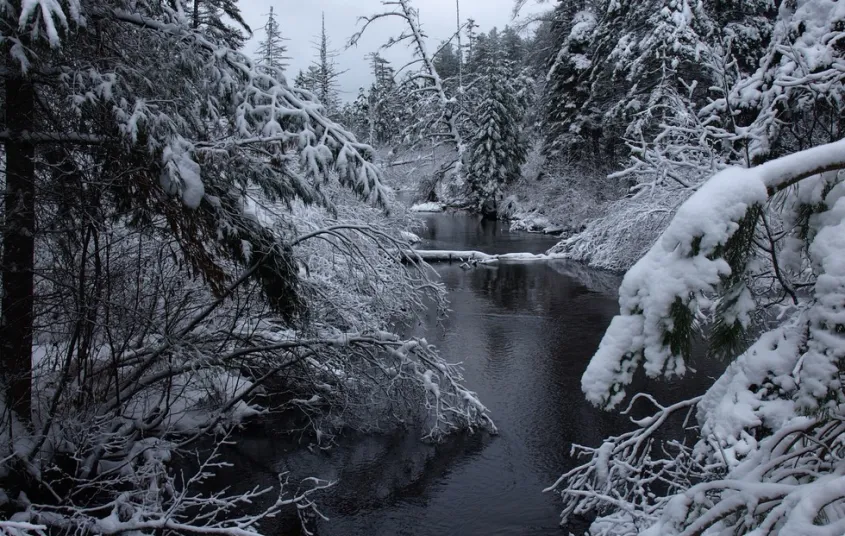 The Sheep Meadow trail has lovely scenery&#44; like this section of the Osgood River.