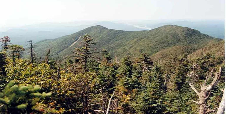 A mountain range in the summer