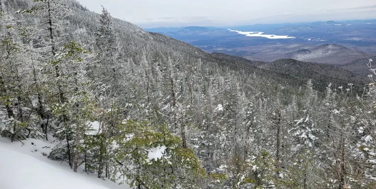 Snowy view over evergreen trees of a long lake