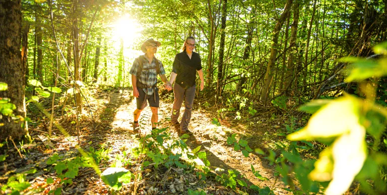 Two people walk through a bright green forest