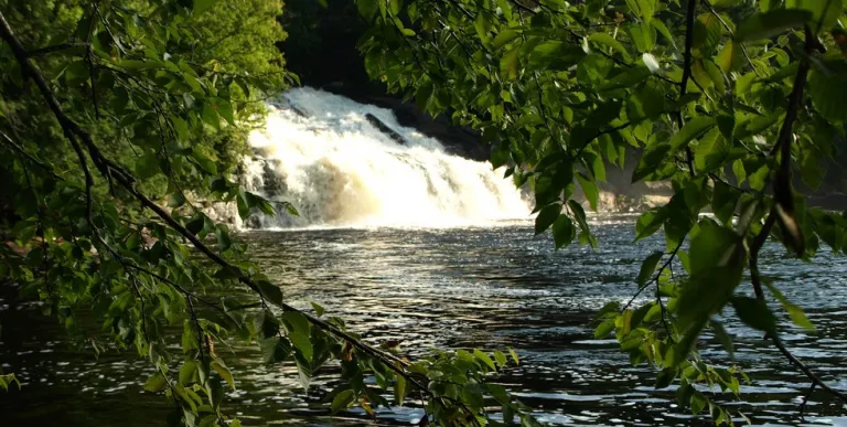 A waterfall seen through the trees