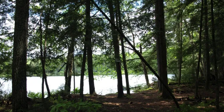 It's a thrill when Round Pond appears through the trees.