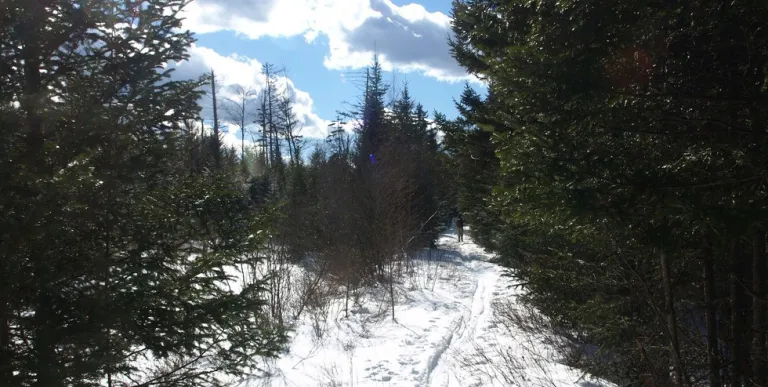 A trail topped with snow