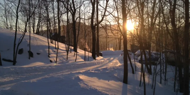 Winter on a trail