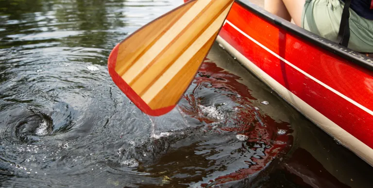 A paddle coming out of the water