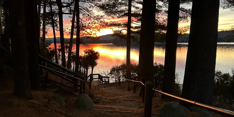 gorgeous warm sunset over the lake through the trees