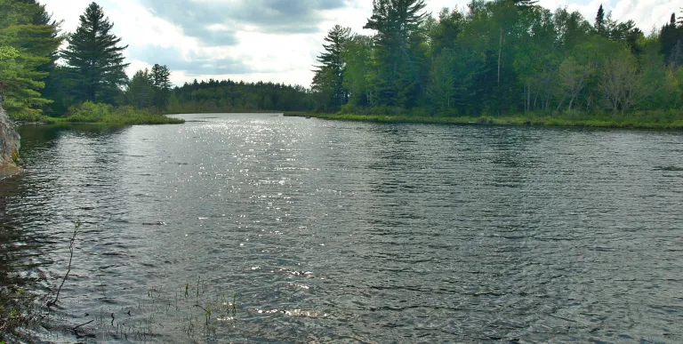The only way to explore Round Lake is by water.